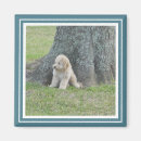 Search for instagram magnets Simple