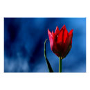 Search for dark red background posters Flower