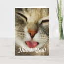 Search for funny cat thank you cards Animal