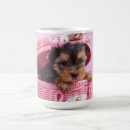 Recherche de chiot de terrier de yorkshire Adorable