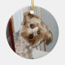 Search for yorkie ornaments Pet