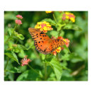 Search for fritillary art Nature