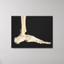 Search for ankle art Feet