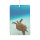 Search for sea turtle car air fresheners Animal