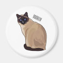 Search for cat magnets Pet