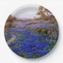 Recherche de texas paper assiettes États unis