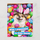 Search for easter rabbit postcards Funny