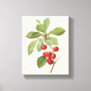 Search for vintage botanical canvas prints Nature