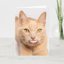 Search for sending cards Sending a smile
