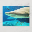 Recherche de ensemble pour toujours amis cartes postales Amour