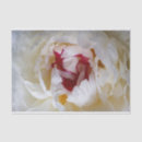 Search for shiny tissue paper White