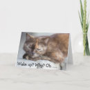 Search for wake cards Sleepy