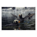 Recherche de faune posters Macareux