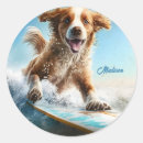 Recherche de surfing autocollants Vacances