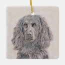 Search for boykin spaniel ornaments Swamp poodle