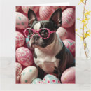 Search for boston terrier easter cards Pet