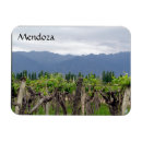 Recherche de mendoza magnets Vignoble