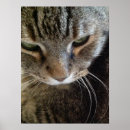 Recherche de fermeture posters Pour tous