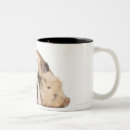 Search for english mugs Animal