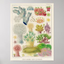 Search for marine biology posters Vintage