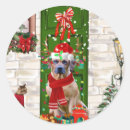 Search for rhodesian stickers Pet
