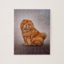 Recherche de boucher puzzles Canine