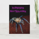 Search for tarantula cards Arachnids