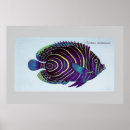 Search for angelfish art Ocean