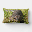 Search for lizard pillows Reptile