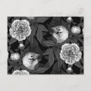 Recherche de moche cartes postales Poney