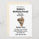 Search for yorkie birthday invitations Dog