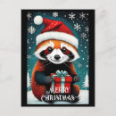 Recherche de red panda cartes postales Ours