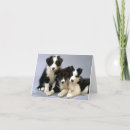 Search for border blank cards Dog