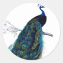 Search for blue peafowl stickers Elegant