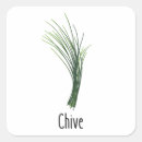 Search for herb spices stickers Chives