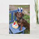 Search for doxies cards Puppy