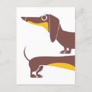 Search for dachshund daddy postcards Pet