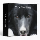 Search for faces binders Cute
