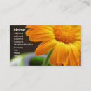 Recherche de vases cartes visite Plante