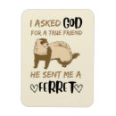 Search for funny animals magnets Adorable
