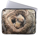 Search for squirrel laptop cases Forest