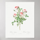 Recherche de bourgogne posters Fleurs