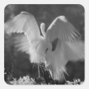 Search for alba stickers White