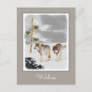 Search for timber wolf postcards Snow