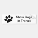 Search for best in show bumper stickers Dog