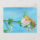Search for dormouse Animals