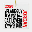 Search for plane ornaments Pilot