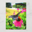 Recherche de noire cartes postales Friend