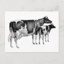 Search for cattle farming postcards Cute
