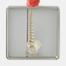 Search for chiropractic ornaments Back